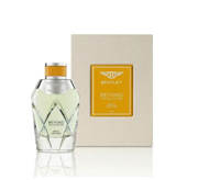 Bentley Wild Vetiver Eau de Parfum 100ml | Unisex Parfum