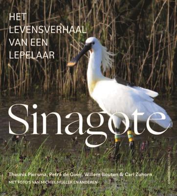 Sinagote (Paperback)