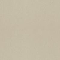 Dutch Wallcoverings Kulör - Uni Anise