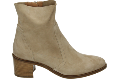 Donna Carolina 57005001 - alle Donna Carolina 57005001 - alle