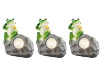 LIVARNO home LED-solarlampen (3 stuks grijs met kikker)