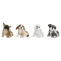 Decoratieve figuren Home ESPRIT Multicolour Hond 13,5 X 12 X 17 CM (4 Stuks)