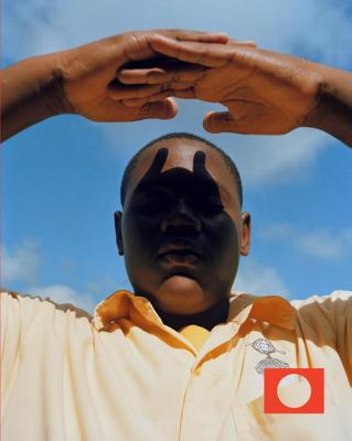Eregalerij van de Nederlandse fotografie (Hardback)