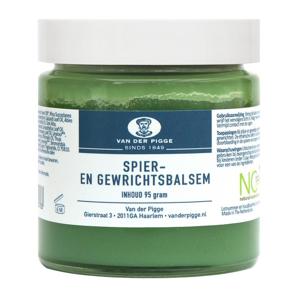 Van der Pigge Spier en gewrichtsbalsem