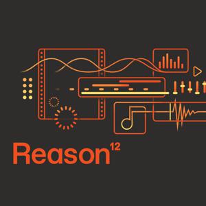 Reason 12 Upgrade (download)