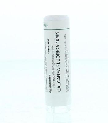 Homeoden Heel Calcarea fluorica 10MK 6 Gram Homeoden Heel Calcarea fluorica 10MK 6 Gram