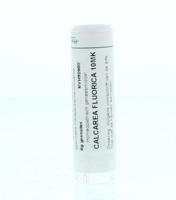 Homeoden Heel Calcarea fluorica 10MK 6 Gram