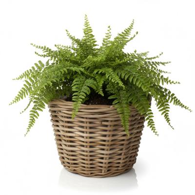 VD Leeden Plantenmand Klassiek - rond - bruin - 35 x 25 cm - rotan - gevlochten riet - bloemenmand