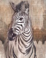Komar Home; Komar Colours Fotobehang Zebra - X4-1010