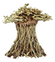 Superfish Bonsai Mushroom Small - Kunstmatige Bonsaiboom met Paddenstoelen voor Aquarium