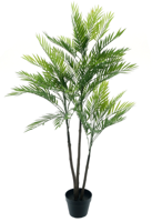 Areca palm Aruba in pot green 140cm