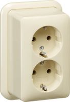 Gira wandcontactdoos 2-voudig met randaarde opbouw creme