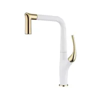AquaLuxe - Luxe Uittrekbare Keukenmengkraan in Geborsteld Goud & Zwart