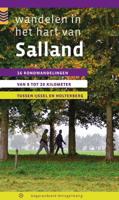 Wandelen in het hart van Salland (Paperback)