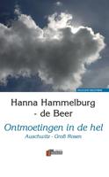 Ontmoetingen in de hel (Hardback)