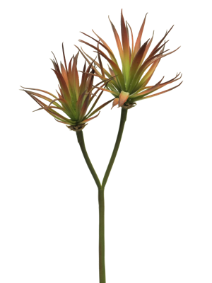 Agave plant pick x2 red 64cm - Nova nature