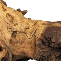 Mopani wood 20kg medium Aquadistri - Aquadistri Mopani wood 20kg medium Aquadistri - Aquadistri