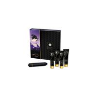 Grote Plezierset Shunga SECRET GEISHA COQUINE