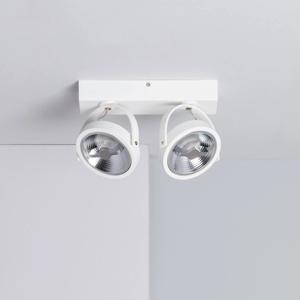 Witte verstelbare CREE-COB 30W AR111 LED plafondlamp met 2 spotlights (warm wit, dimbaar)