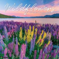 Wilde Bloemen Kalender 2026