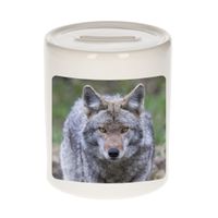 Dieren foto spaarpot wolf 9 cm - wolven spaarpotten jongens en meisjes - thumbnail