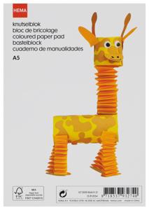 HEMA Knutselblok A5 Gekleurd Papier