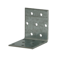 Pgb-Europe fg | hoek multigaatjes 60x80x80 zn | 50 st fg02410010600805