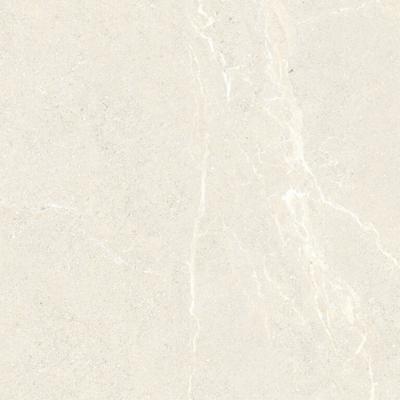Vloertegel Energieker Wonder 120x120 cm Mat Sleet Energieker