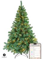 Kerstboom Excellent Trees® LED Stavanger 300 cm met 850 LED Lampjes Kerstboom - ⌀170cm - ↕300cm