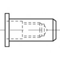 TOOLCRAFT TO-5444286 Popmoer M6 Staal 500 stuk(s)