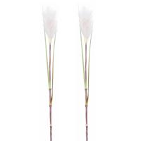 Rietgras/pluimgras kunstplant losse steel - 2x stuks - takken - roze/witte pluim - 72 cm