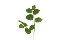 Decostar kunsttak Gaultheria 78 cm groen