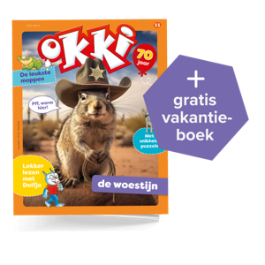 Okki | Jaar Basis