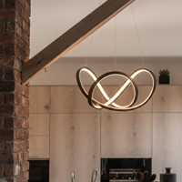 Lyora Design hanglampApus zwart Ø 55cm - 9348053