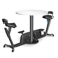 LifeSpan Workplace Desk Bike Duo