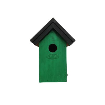 Houten vogelhuisje/nestkastje 22 cm - zwart/groen Dhz schilderen pakket