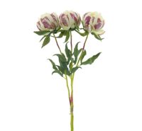 Paeony Marlie bundle a 3 pcs cream 63 cm kunstbloem Erutan Avon - Erutan avon