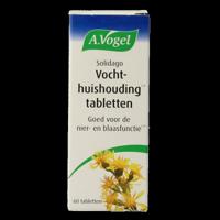 Solidago 60 Tabletten
