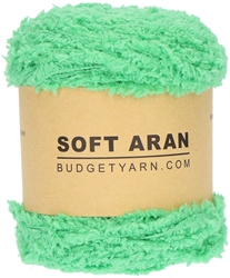 Budgetyarn Soft Aran 086 Peony Leaf