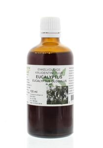 Natura Sanat Eucalyptus globulus folia tinctuur (100 ml)