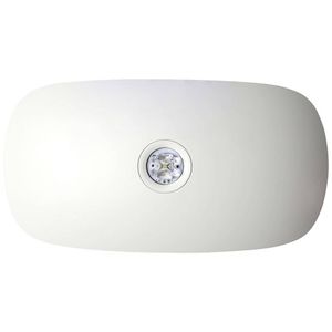 Deko Light 731142 LED-vluchtwegverlichting Wandopbouwmontage