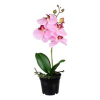 Orchidee bloemen kunstplant op plug - bloemen/bloemetjes - roze/groen - H33 cm - thumbnail