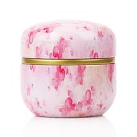 HOOMIN Tea Box thee jar opslaghouder thee Caddies Matcha container mini koffie poeder organisator blikken multifunctionele ronde metalen kleur: Cherr