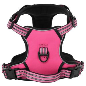VidaXL Hondentuigje met riem en halsband verstelbaar l roze