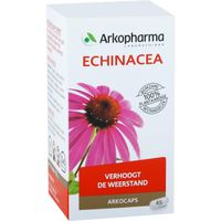 Echinacea - thumbnail