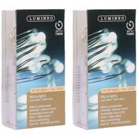 Lumineo draadverlichting - 2x - 20 led lampjes - helder wit - 95 cm - lichtdraad - zilver