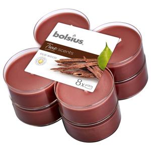 Bolsius Maxilicht Geur 8 Stuks True Scents Oud Wood