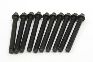 Cilinderkopboutset BMW (10 ST.) 143200201