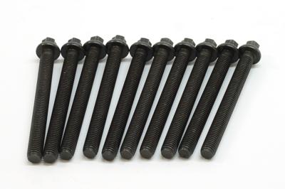 Cilinderkopboutset BMW (10 ST.) 143200201