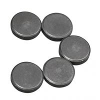 Rayher hobby en knutselen magneten - 5x stuks - formaat D20 x H5 mm - metaal - rond